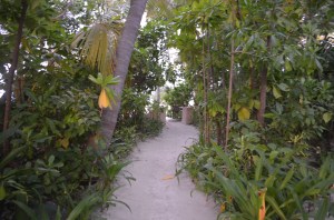 The path ot the beach from our Villa