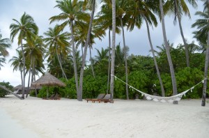 Our lounge chairs and hammock on our patch of paradise