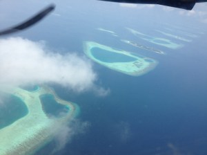Coral reefs and lagoons